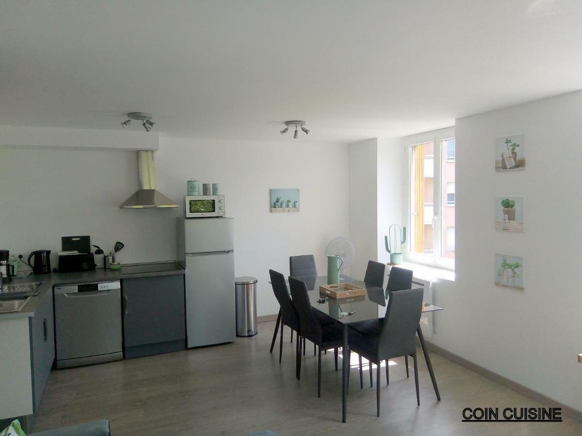 Les Cactus Apartment Saint-Etienne  Exterior photo