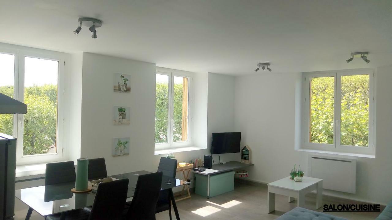 Les Cactus Apartment Saint-Etienne  Exterior photo