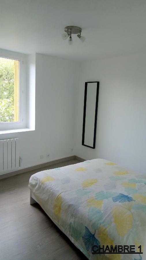 Les Cactus Apartment Saint-Etienne  Exterior photo