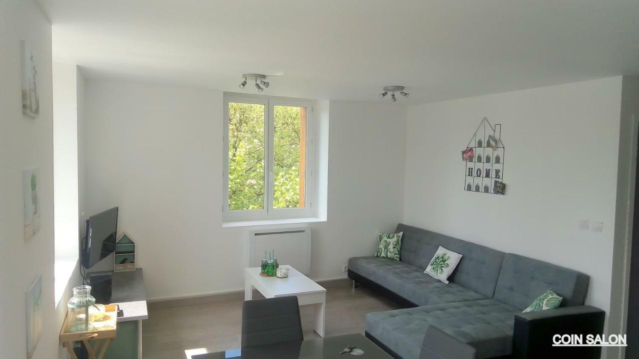 Les Cactus Apartment Saint-Etienne  Exterior photo