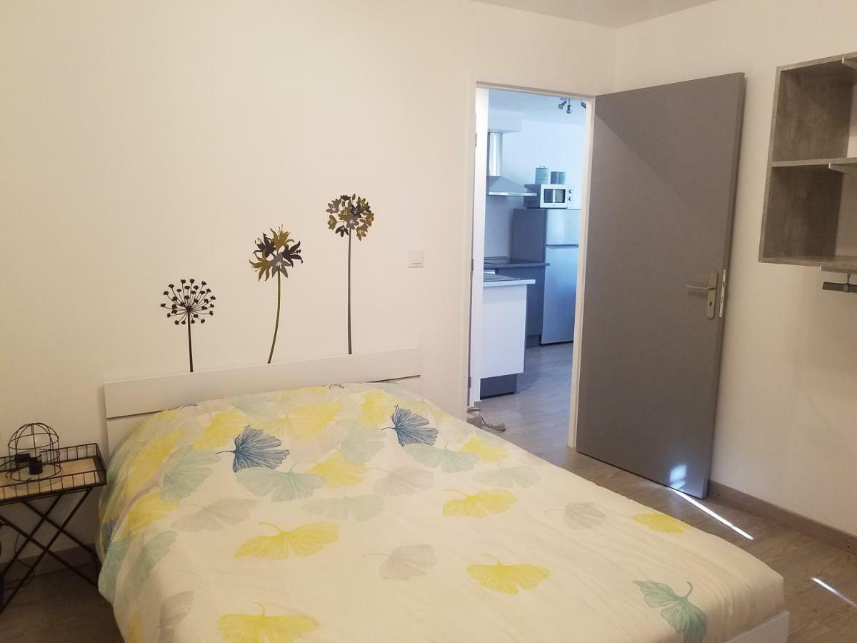 Les Cactus Apartment Saint-Etienne  Exterior photo