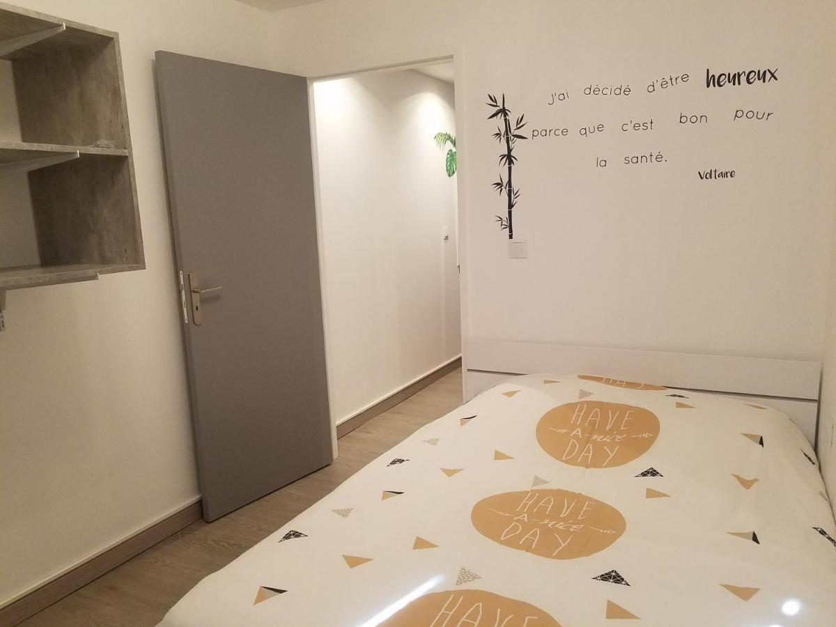 Les Cactus Apartment Saint-Etienne  Exterior photo